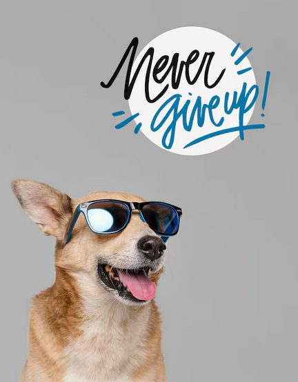 Pet Memes: Why They Go Viral and How to Create Engaging Content