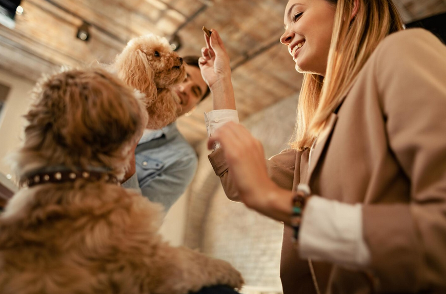 Pet Industry Trends 2026: Future of Pet Care, Food, and Services