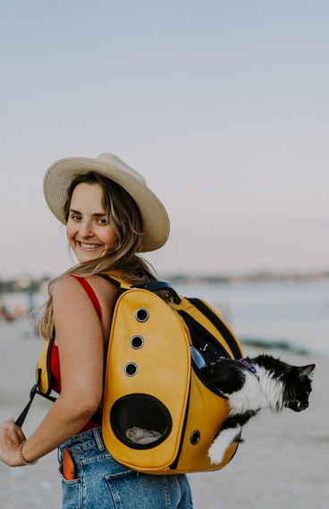 Traveling with Pets: A Complete Guide for Safe and Stress-Free Trips