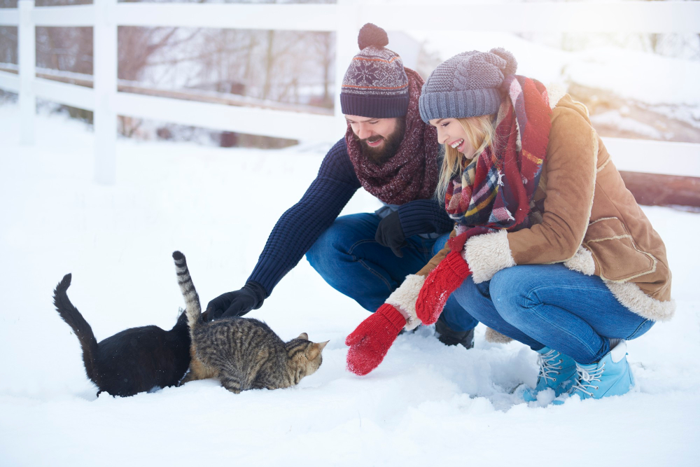 Seasonal Pet Care Guide: Summer & Winter Tips for Healthy Pets