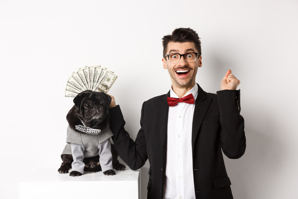 Budget vs Premium Pet Accessories: Which One Should You Choose?