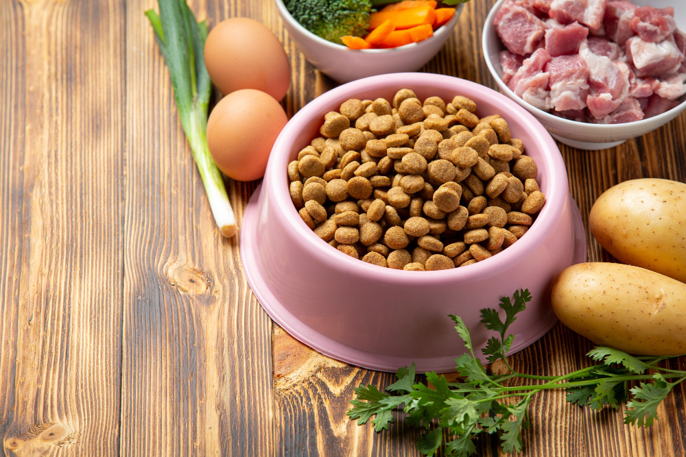 Best Pet Food in Bangladesh: Top Brands and Buying Guide