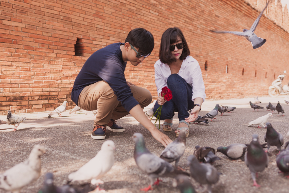 How to Rescue Street Animals: A Step-by-Step Guide for Safe and Responsible Care