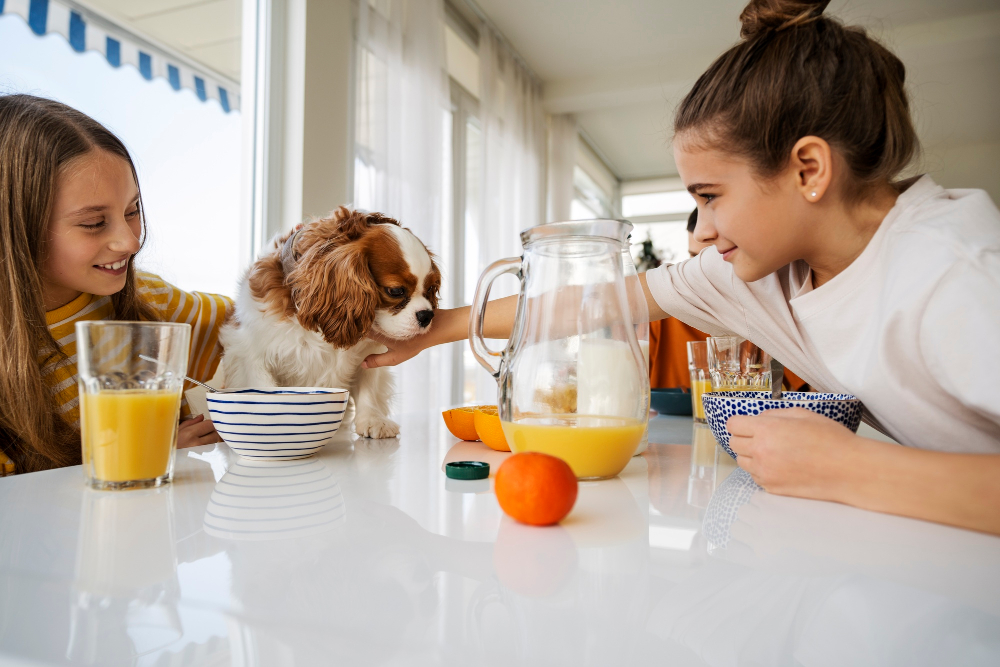 Toxic Foods for Pets: What You Must Never Feed Your Dog or Cat.