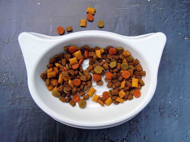 How to Choose the Best Pet Food for Your Dog or Cat