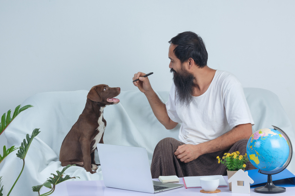 What Pet Suits You? Fun Quiz to Find Your Perfect Pet Match