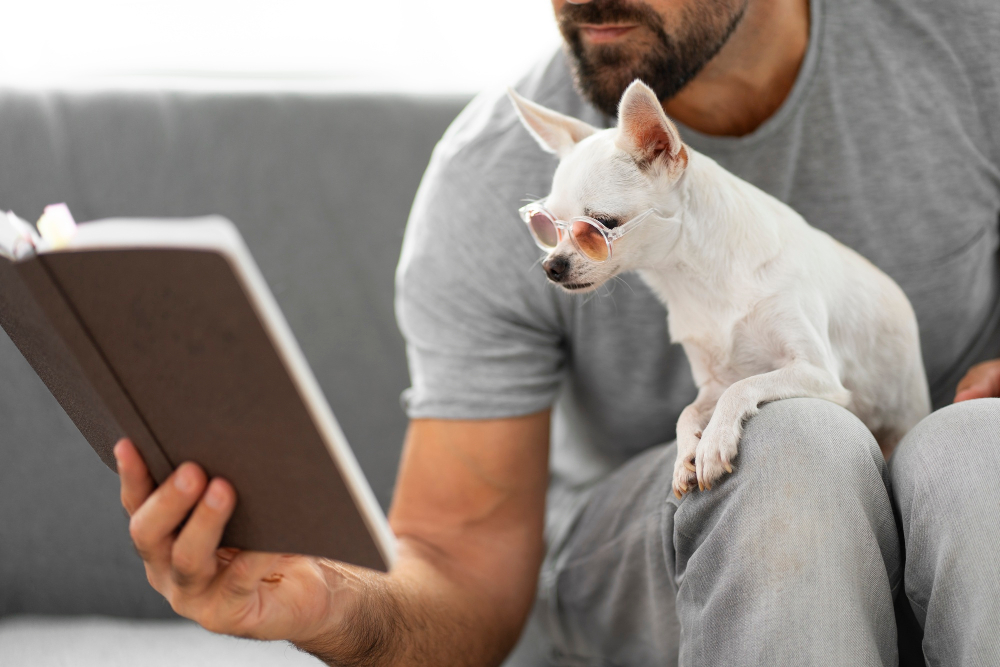User-Submitted Pet Stories: Real Experiences from Pet Owners