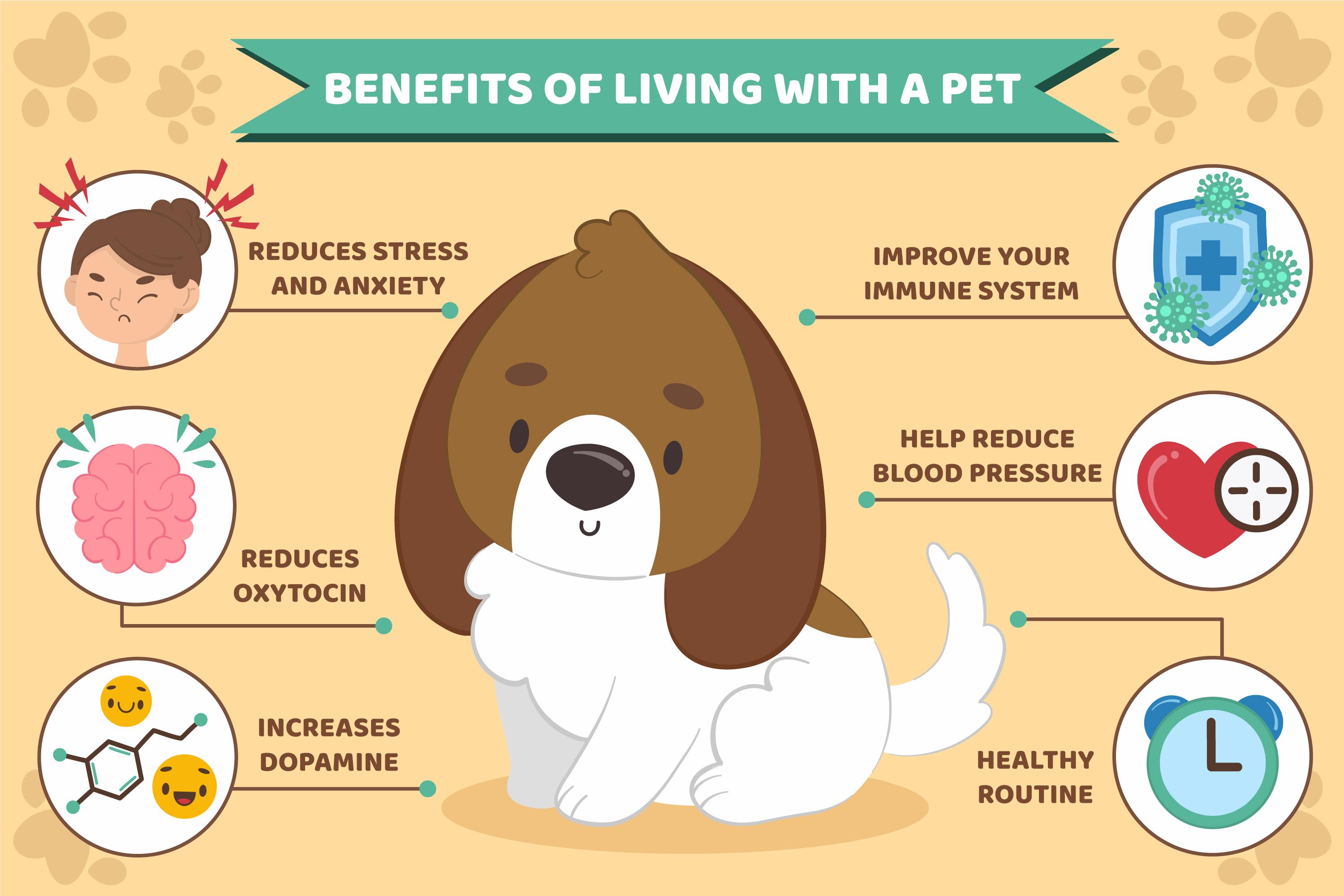 Common Pet Diseases & Symptoms: A Complete Guide for Pet Owners